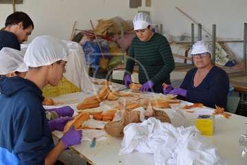 Día del Artesano y Labrador en Jinámar (Foto TA)